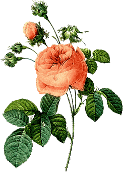 salut et bienvenue!!